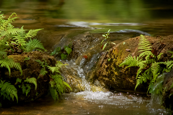 Camaguey: Comprehensive Work in Favor of the Environment