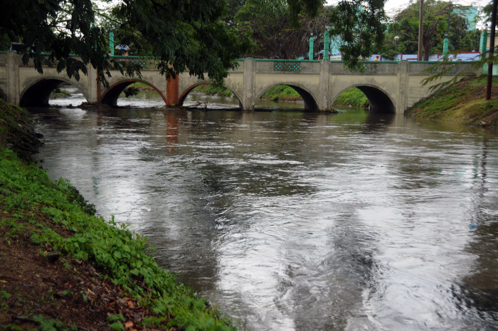 Ante intensas lluvias, ¿qué hacemos?