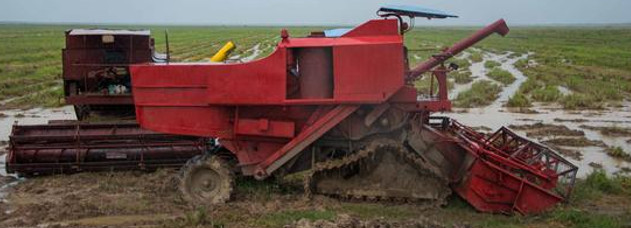 Adoptan medidas para reducir los daños en la agricultura