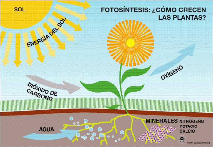 Ilustración: Tomada de www.sutori.com Un acercamiento al sol, luego de la tormenta
