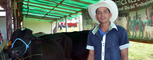 De casta le viene al vaquero