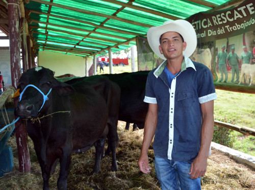 From caste it comes to the cowboy