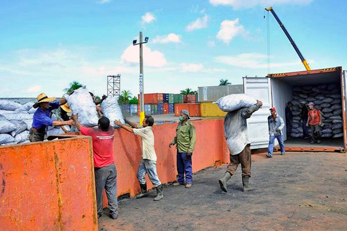 Estimulan inversión extranjera en producción forestal cubana