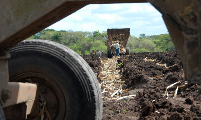Dos pilares de la zafra “discuten” solo para más...