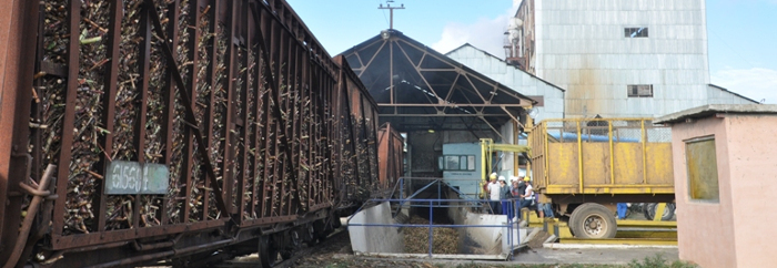 Promueven modernización de industria azucarera cubana