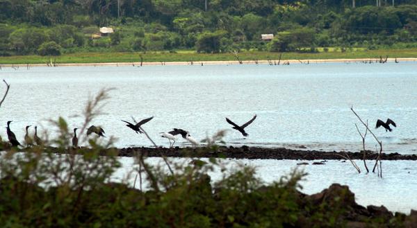 Al 90 por ciento embalses camagüeyanos