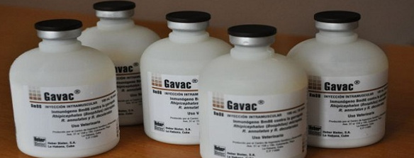 Producción biotecnológica agropecuaria de alta calidad en Camagüey