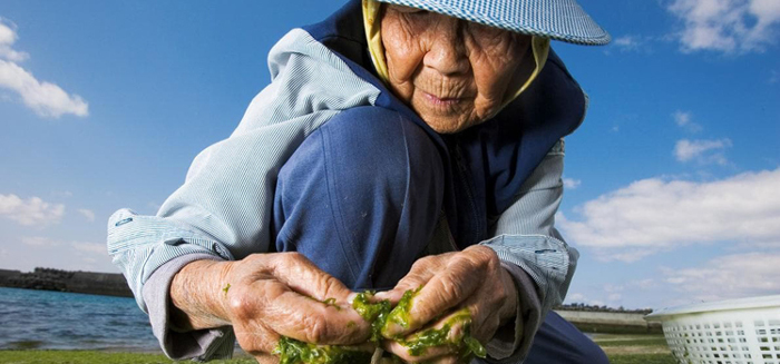 Secreto japonés para vivir 100 años o más