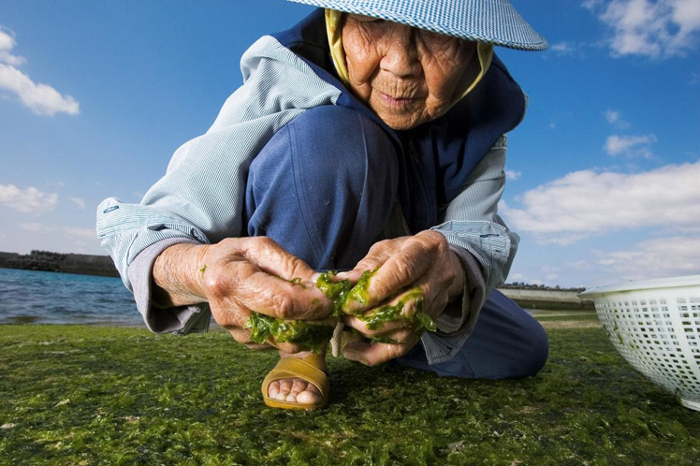 Foto: Prensa Latina Secreto japonés para vivir 100 años o más
