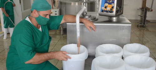 Positiva producción láctea en Santa Cruz del Sur