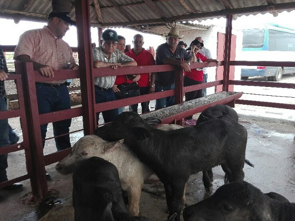 Visita Rosales del Toro unidades productoras de alimentos en Camagüey (+ Fotos)