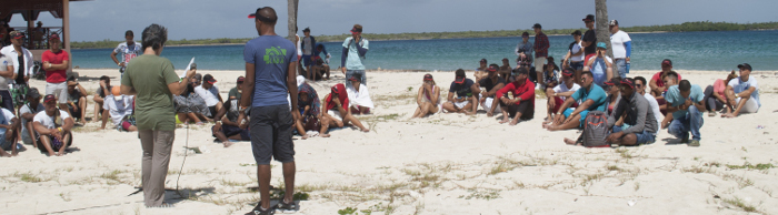 Energía joven de campamento veraniego