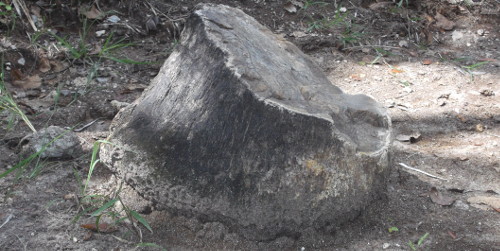 Cuba: Sitios geológicos evidencian preservación ambiental