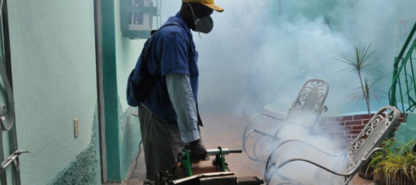 Intensivo contra mosquito Aedes aegypti en Camagüey