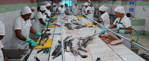 Empresa pesquera camagüeyana incrementan capacidad productiva