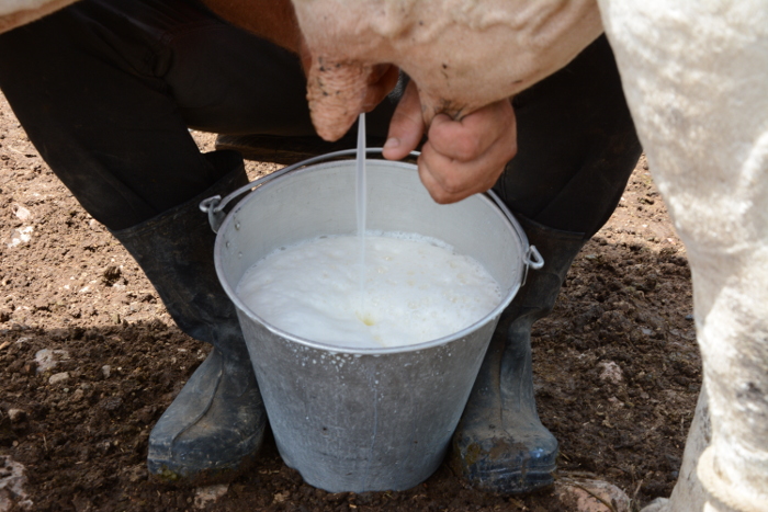Va por el millón cooperativa “Reinaldo Léon Yera” de Najasa