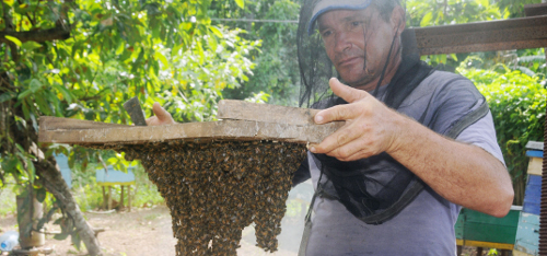 El dulce cambio de la vida de Baicel