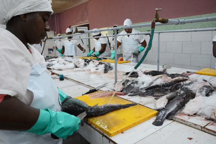 La pesca tiene su Estrella