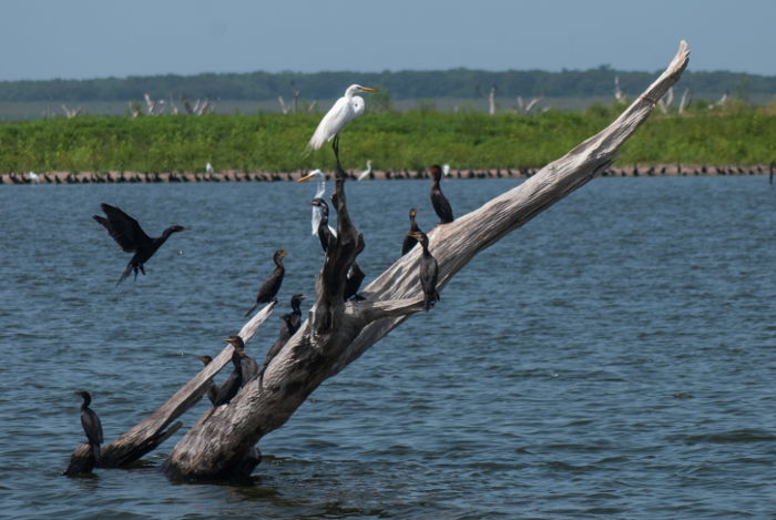 Stand out in Camagüey measures against the climate change 