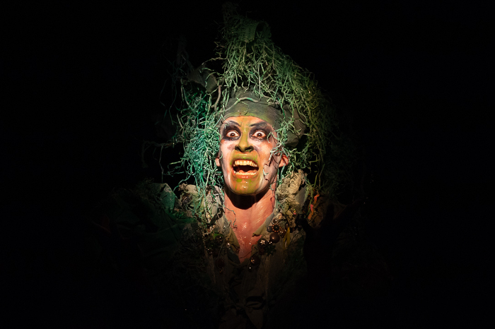 Fotos: Leandro Pérez Pérez/Adelante Festival en la lupa del Centro del Guillén