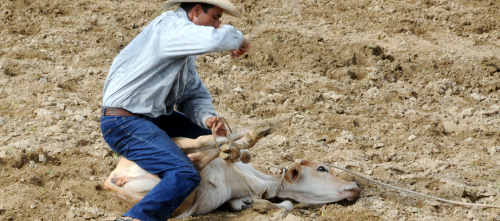 Trunca por lluvia Triangular de Rodeo en Camagüey