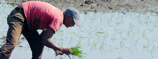 Camagüey será beneficiada con nueva etapa de Proyecto Viet Nam-Cuba