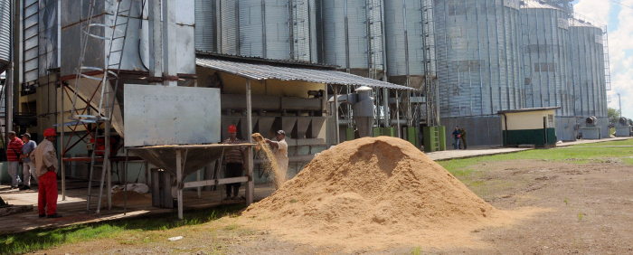 Funciona en Camagüey secadero de arroz más moderno de Cuba