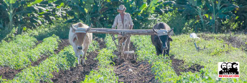 La Revolución cambió la vida de la gente del campo