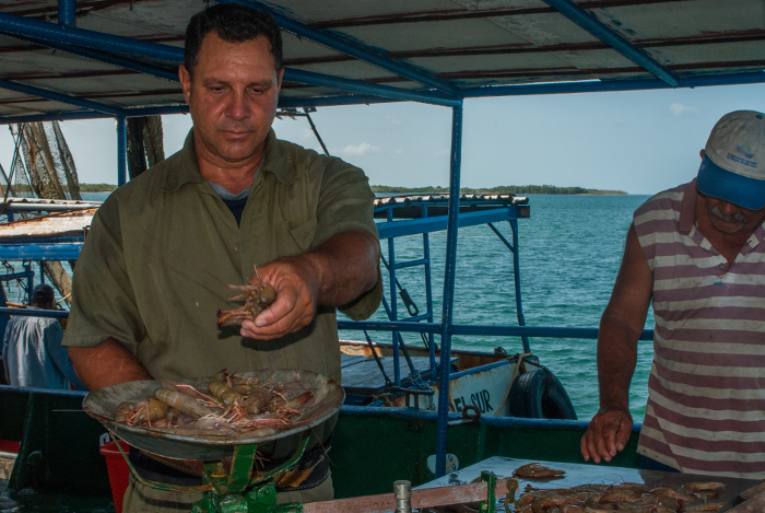 Empresa Pesquera de Santa Cruz del Sur cumple plan de captura