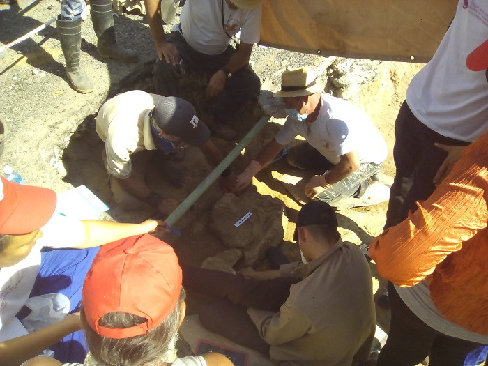 Find human remains in archaeological excavation