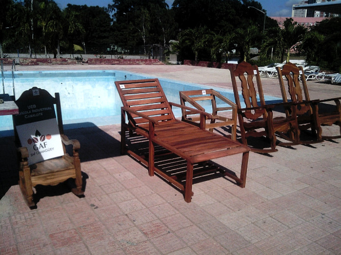 Agroforestry Company of Camagüey for extending exportable items (+ Photos)