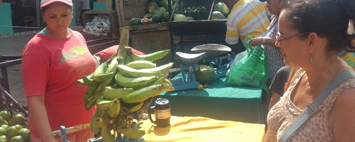 Garantizan insumos para feria de fin de año