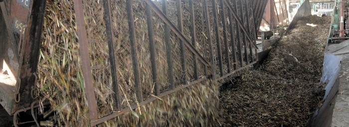 Entre alegrías y aplausos productivos, la víspera del fin de año en Camagüey