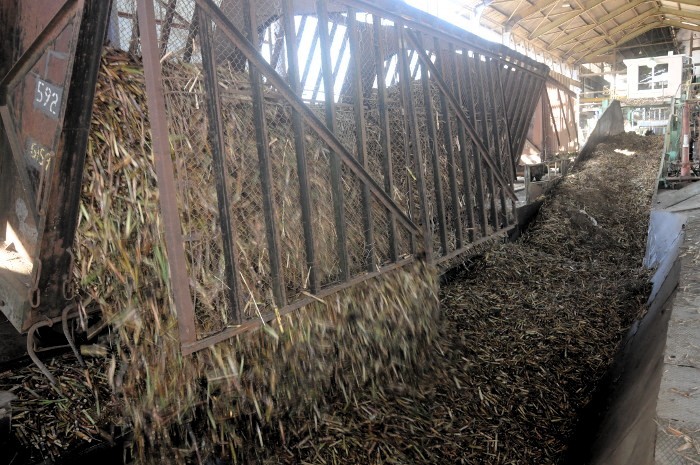 Entre alegrías y aplausos productivos, la víspera del fin de año en Camagüey