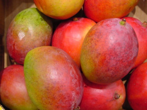 Foto: Tomada de trabajadores.cu El mango: fruta popular