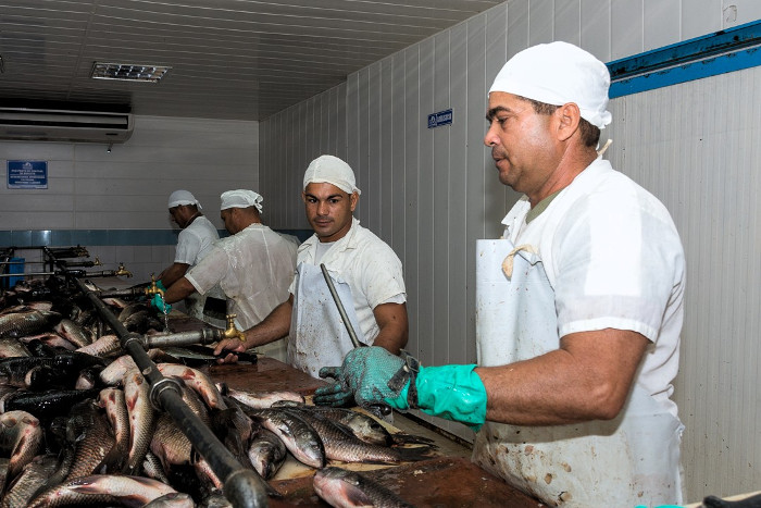 Aquaculture in Sibanicú "caught" the annual plan