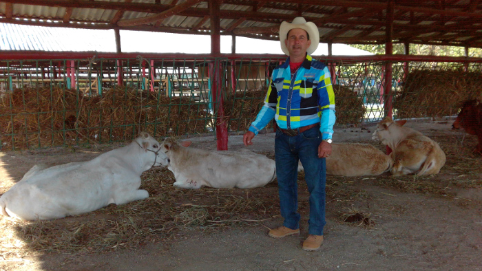 Premiados en feria internacional terneros de embrión congelado