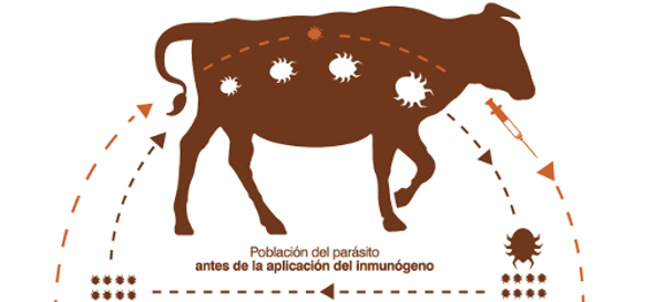 Huellas del Taller de Productos Estratégicos Agropecuarios 
