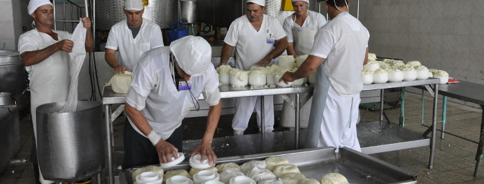 Recuerdan a Fidel desde la trinchera de la producción