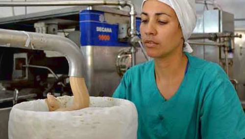 Jóvenes protagonizan resultados productivos en fábrica Coppelia /camaguey