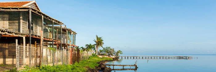 Díaz-Canel destaca labor de Camagüey en la Tarea Vida