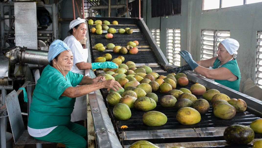 Empresa conservera diversifica producciones/Camaguey