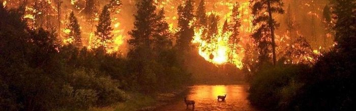 Incendios en la Amazonía preocupan al mundo (+ Video yTuits)