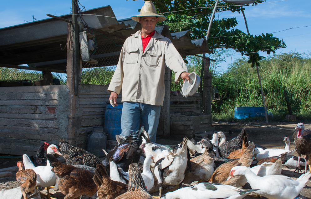 El campo necesita el empuje de la juventud/camaguey