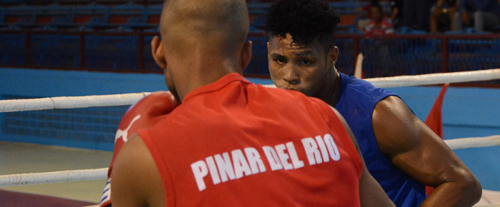La mirada del Alfa Brown
