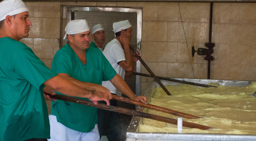 Sustituye importaciones industria láctea con producción de cuajo criollo