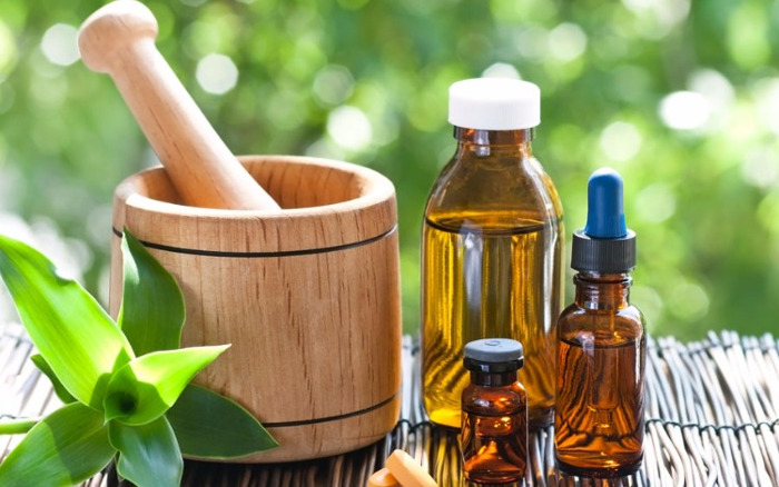 Foto: Tomada de convivirpress.com Intercambian sobre uso acertado de plantas medicinales