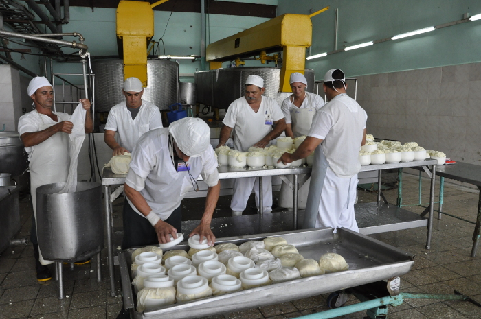 Incrementa Camagüey producciones lácteas desde los municipios