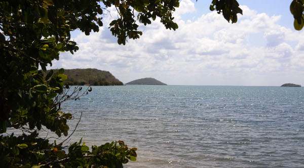 Flora y Fauna dirige proyectos de conservación en áreas protegidas de Nuevitas /camaguey