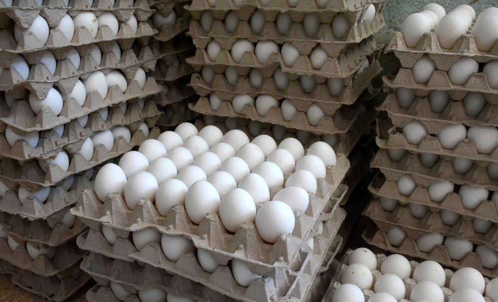    Bandejas para huevos ¿Reciclables o no?